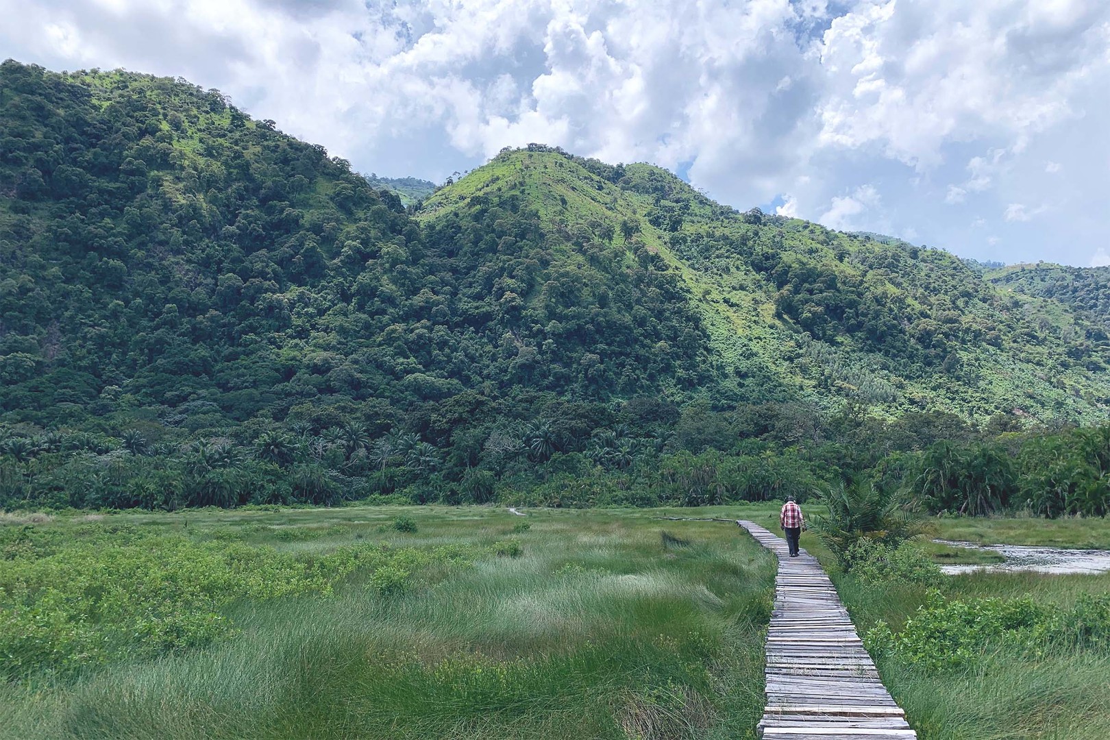 a man wearing a plaid shirt and jeans walks down a wooden path in a lush green field towards verdant mountains