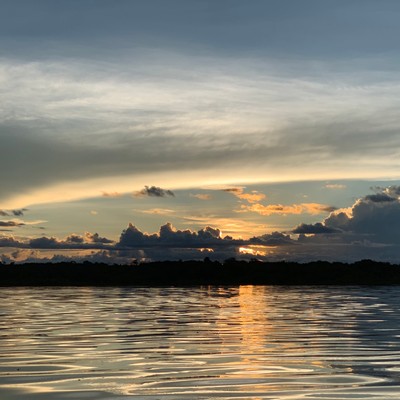 a beautiful sunset over the amazon (after an afternoon watching amazon river dolphins)