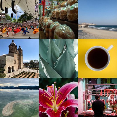 a collage of 15 tastes, sights, and smells from oaxaca including nieves, regional candies, santo domingo, agave, and coffee