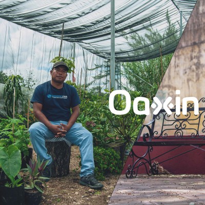 oaxin’s logo over a split photo of two of its leaders — enoc ramírez (sitting on a stump in a greenhouse) and estrella soto (sitting on a metal bench near a stone aqueduct)